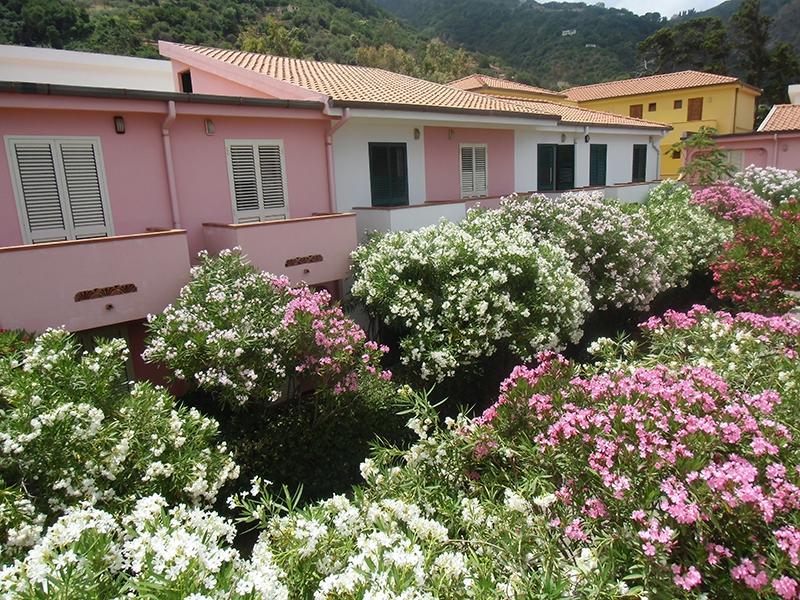 Villaggio Hotel Club Calanovellamare Piraino Buitenkant foto