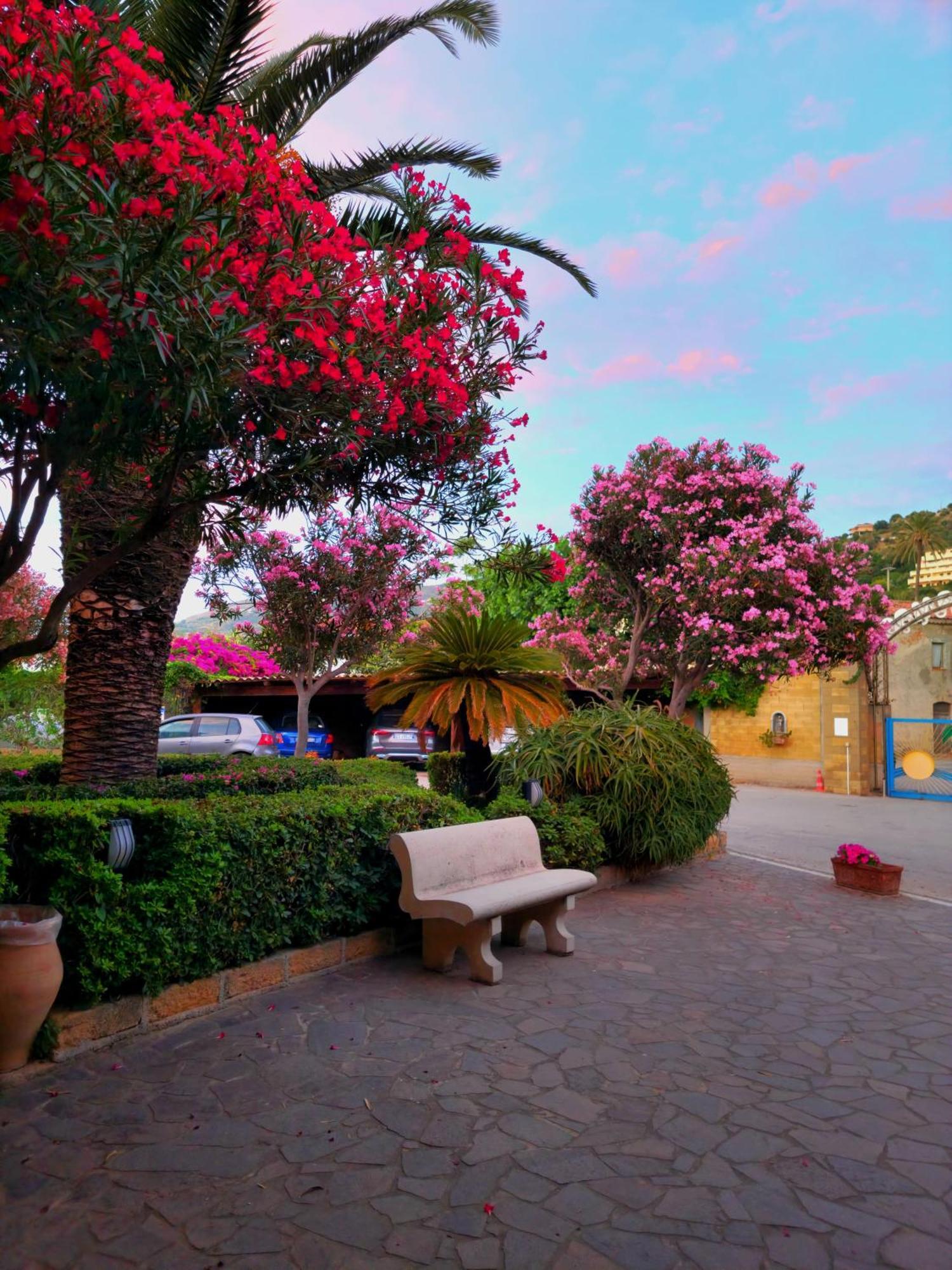 Villaggio Hotel Club Calanovellamare Piraino Buitenkant foto